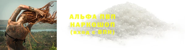 мяу мяу мука Михайловск