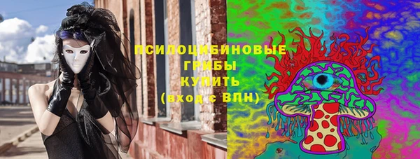 мяу мяу мука Михайловск