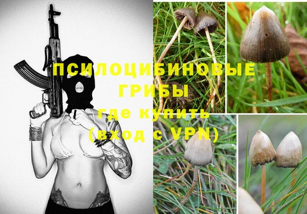 мяу мяу мука Михайлов