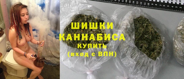 крисы Мегион