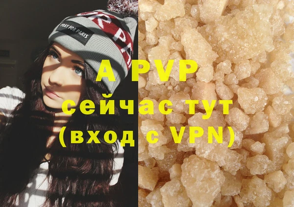 мяу мяу мука Михайлов