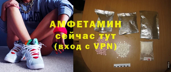 крисы Мегион