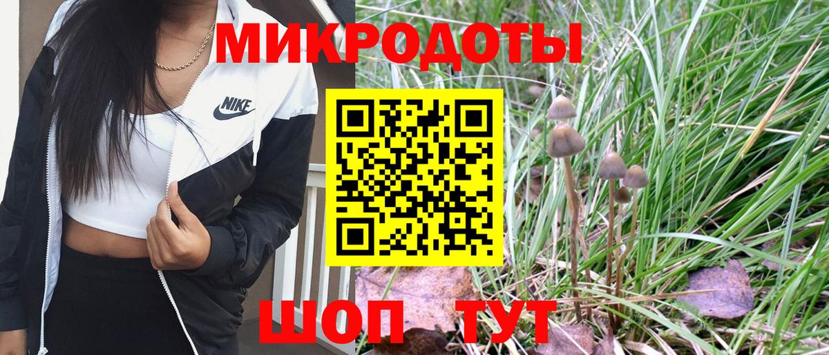 Псилоцибиновые грибы Psilocybe Лабытнанги