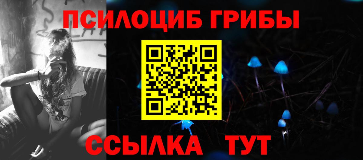 купить наркотики цена  Псилоцибиновые грибы GOLDEN TEACHER  Лабытнанги  Галлюциногенные грибы мицелий 